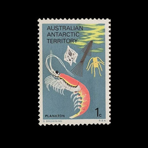 AUSTRALIAN ANTARCTIC TERRITORY 1973 1c PLANKTON MNH