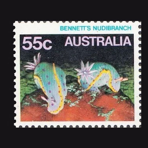 AUSTRALIA 1984 55c BENNETTS NUDIBRANCH MNH