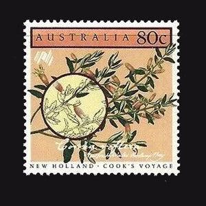 AUSTRALIA 1986 80c CORREA REFLEXA MNH