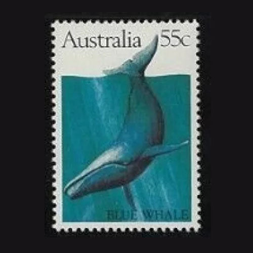 AUSTRALIA 1982 55c BLUE WHALE  MNH