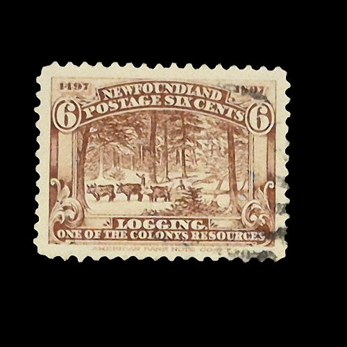 NEWFOUNDLAND 1897 6c BROWN LOGGING VFU