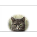 GREETING CARD Cats 1