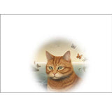 GREETING CARD Cats 4