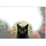 GREETING CARD Cats 7