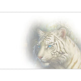 GREETING CARD White Tiger