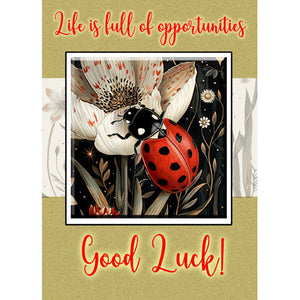 GREETING CARD Ladybird Luck