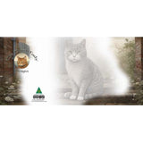 GREETING CARD TRI FOLD Cats Medley
