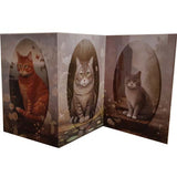 GREETING CARD TRI FOLD Cats Medley
