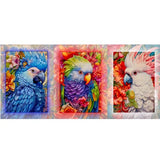 GREETING CARD TRI FOLD Birds of Paradise
