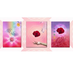 GREETING CARD TRI FOLD Yoga Rose