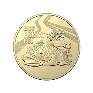 2023 1 dollar Australian coin Aussie Big Things Murray Cod