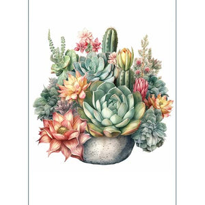 GREETING CARD Succulent 3