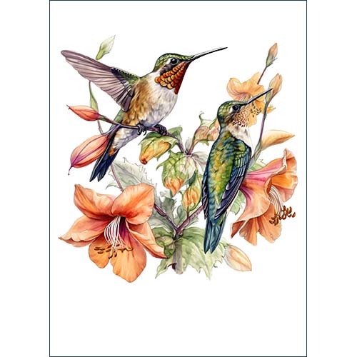 GREETING CARD Hummingbird 6