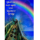 GREETING CARD Rainbow Bridge Cat