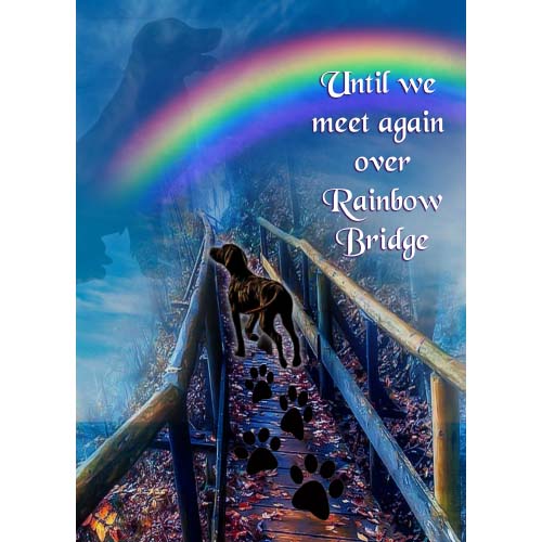 GREETING CARD Rainbow Bridge Dog