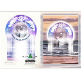 GREETING CARD Within the Law become Free
