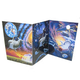 GREETING CARD TRI FOLD Dolphin Delight