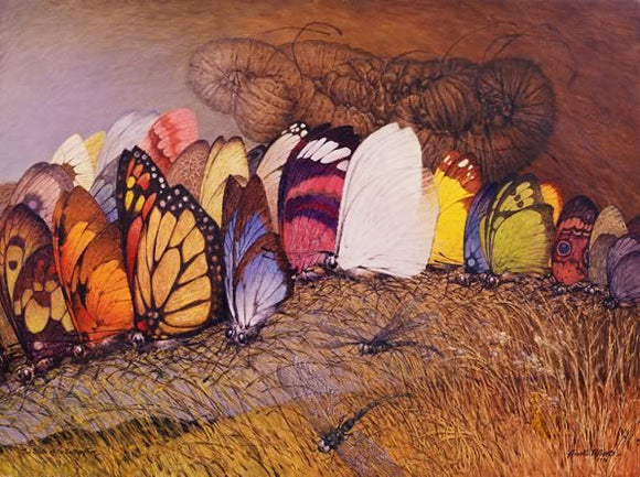 FRAMEABLE PRINT AINSLIE ROBERTS BIRTH OF THE BUTTERFLIES