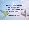 GREETING CARD Birthday Birds