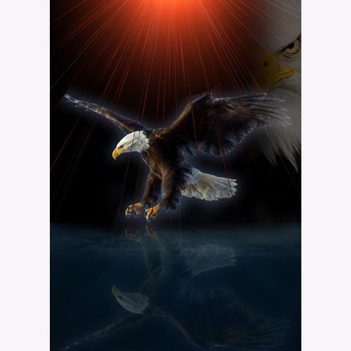GREETING CARD Eagle Reflection
