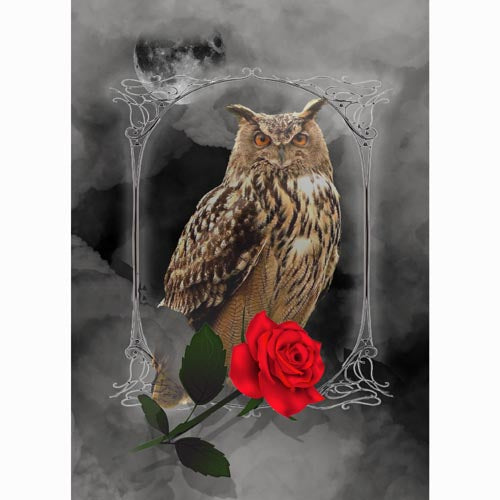 GREETING CARD Misty Moon Owl