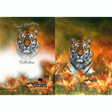 GREETING CARD Wild Tigers