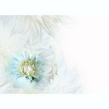 GREETING CARD White Dahlias