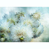 GREETING CARD White Dahlias