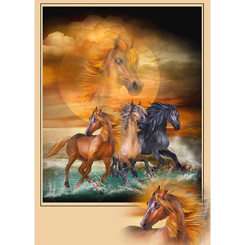 GREETING CARD Wild Horses