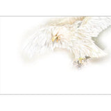 GREETING CARD White Eagle Dreams 2
