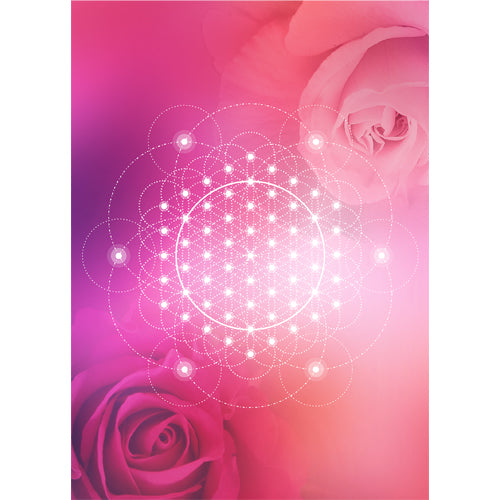 GREETING CARD Mandala Rose