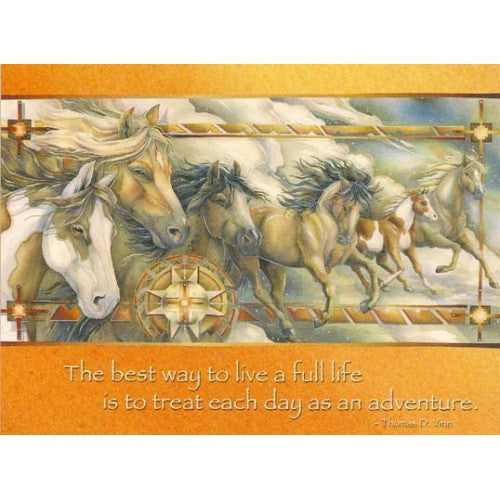 FRAMEABLE COLLECTORS CARD INDIAN HORSES