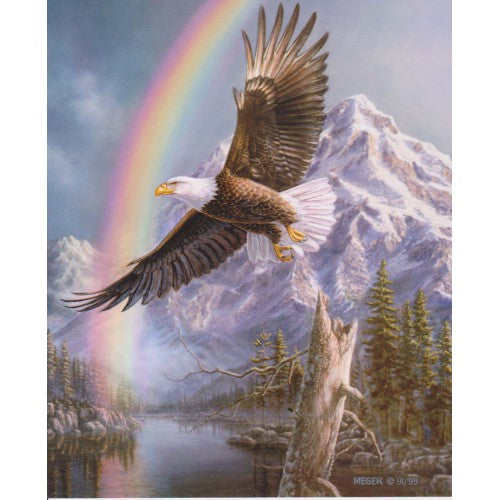 FRAMEABLE COLLECTORS CARD EAGLE IN FLIGHT
