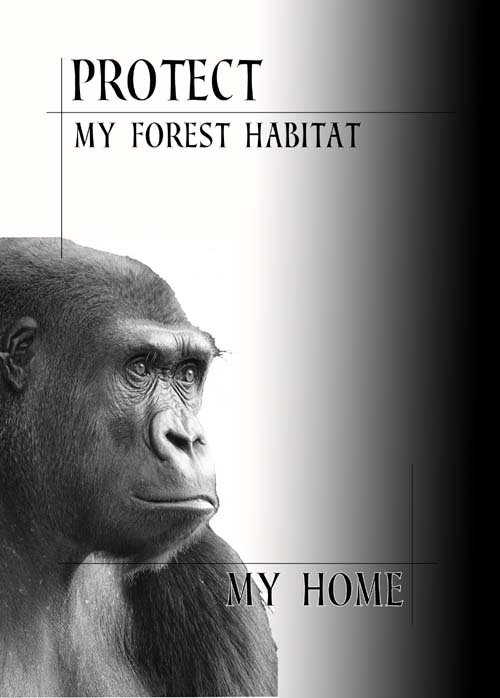 GREETING CARD My Forest Habitat