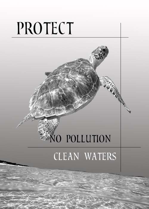 GREETING CARD No Pollution Clean Waters