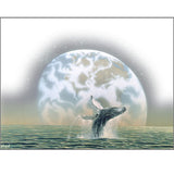 GREETING CARD Whale Song