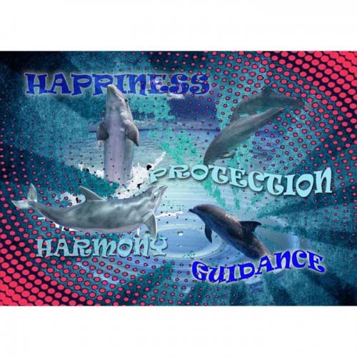 GREETING CARD Dolphin Dance