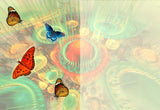 GREETING CARD Butterfly Haven 2