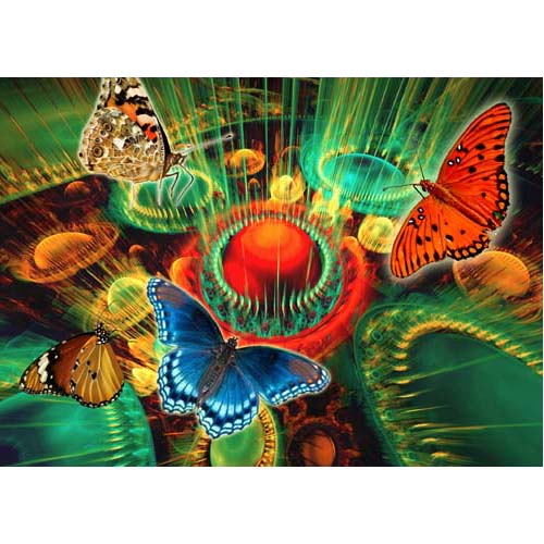 GREETING CARD Butterfly Haven 2