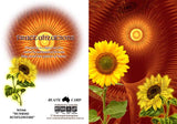 GREETING CARD Sunrise Sunflowers