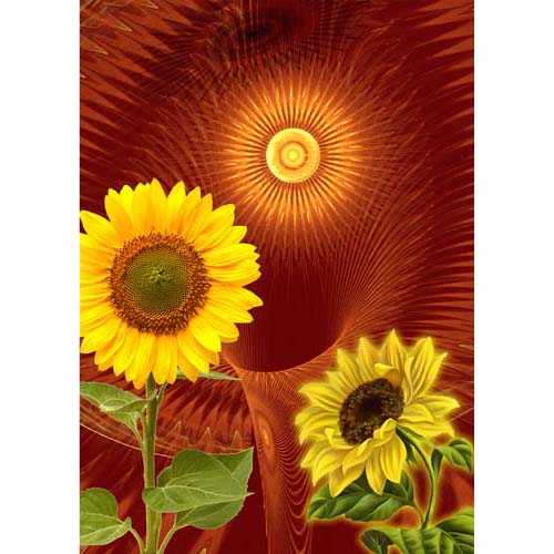 GREETING CARD Sunrise Sunflowers