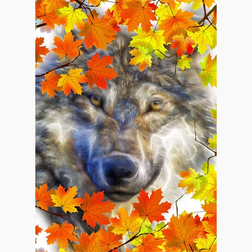 GREETING CARD Autumn Wolf