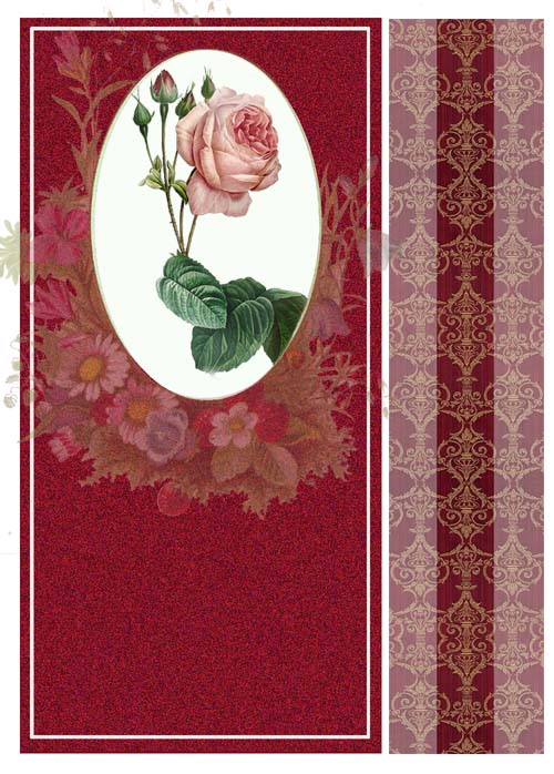 GREETING CARD Beauty Rose
