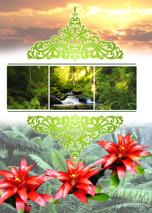 GREETING CARD Rainforest Beauty