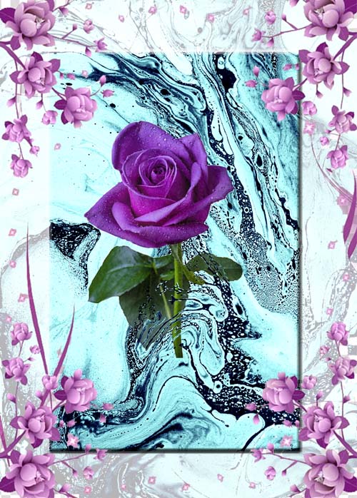GREETING CARD Purple Rose