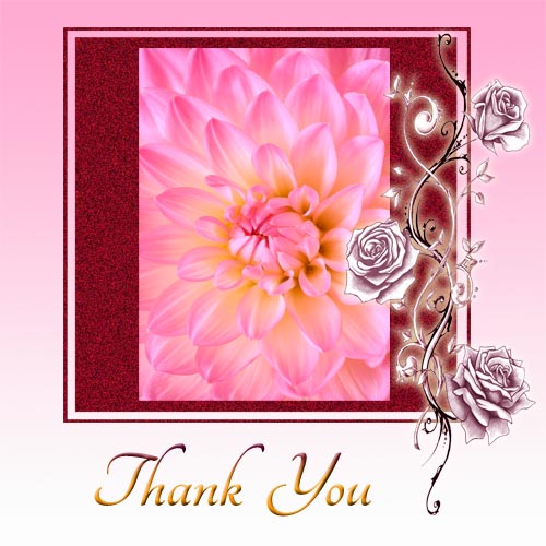 GIFT TAG Thank You in Pink