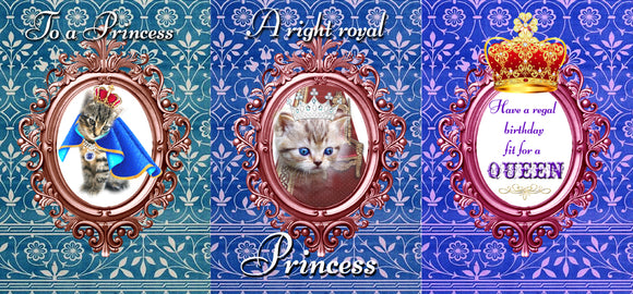 GREETING CARD TRI FOLD Princess Birthday