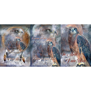 GREETING CARD TRI FOLD Hawk Spirit