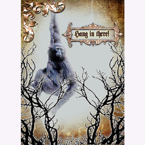 GREETING CARD Hang in There