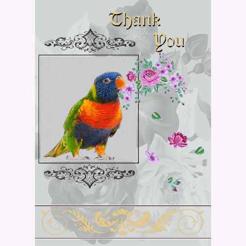 GREETING CARD Thank You Parrot